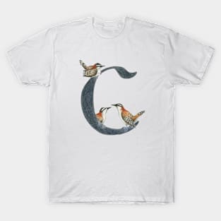 Avian Alphabet C - Rufous-naped wren T-Shirt